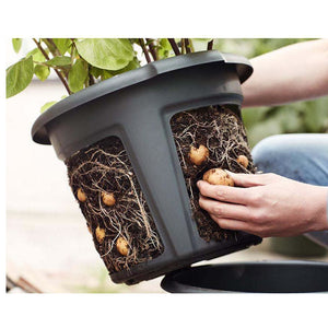 Potato Pot - All Seasons Greenhouses